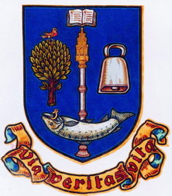 Журнал